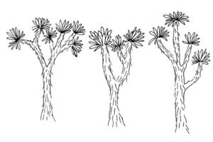 Joshua Baum Tinte skizzieren Hand gezeichnet Illustration auf isoliert Hintergrund. minimalistisch Linie Kunst von Yucca Anlage, Wüste Natur von amerikanisch Südwesten. Design Element zum Karte, Etikett, Logo, Papier, Zeichen vektor