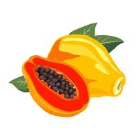 saftig och friska gul röd skära papaya med grön löv. isolerat illustration på vit bakgrund. sommar frukt för platt design av kort, baner, flygblad, försäljning, affisch, ikoner vektor