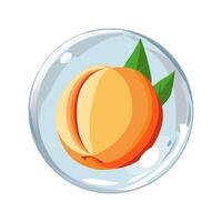 gesund Orange Pfirsich im Luft Blase. isoliert Illustration auf Weiß Hintergrund. Sommer- Obst zum eben Design von Karten, Banner, Präsentationen, Logo, Poster vektor