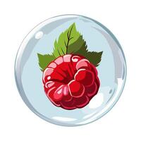 gesund rot Himbeeren im Luft Blase. isoliert Illustration auf Weiß Hintergrund. Sommer- Obst zum eben Design von Karten, Banner, Präsentationen, Logo, Poster vektor