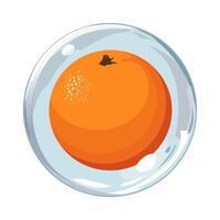 gesund rot Orange im Luft Blase. isoliert Illustration auf Weiß Hintergrund. Sommer- Obst zum eben Design von Karten, Banner, Präsentationen, Logo, Poster vektor