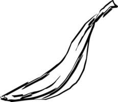 Banane Schwarz-Weiß-Handzeichnung Umrissvektor vektor