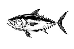 Thunfisch. Meer Fisch gezeichnet im Tinte. schwarz und Weiß Gliederung mit Blau Farbe. Illustration. vektor