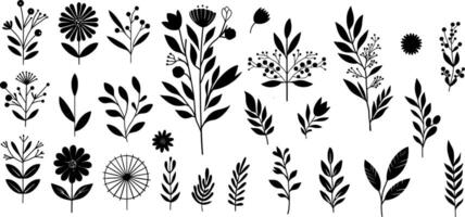 einstellen von Blumen Silhouetten. Hand gezeichnet Blumen- Elemente. einstellen botanisch Illustration. vektor