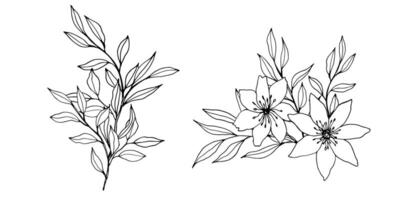kontur gren, blommor och löv kompositioner. elegant konst för dekoration. hand dragen svartvit botanisk illustration för bakgrunder. mall för bröllop kort och polygraf, logotyp, tatuering vektor