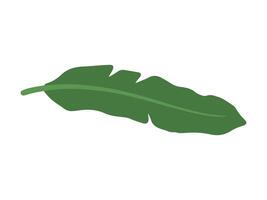 banan grön blad bakgrund illustration vektor