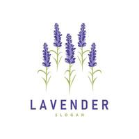 lavendel- logotyp elegant lila blomma växt illustration blommig prydnad design vektor