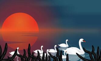 skön solnedgång landskap och flytande svan eller Anka mor och barn simning begrepp ovan sjö illustration. vektor