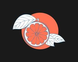 grapefrukt stiliserad hand teckning skiss på Färg cirkel, mörk bakgrund. märka, emblem, logotyp, ikon. vektor