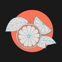 grapefrukt stiliserad hand teckning skiss på Färg cirkel, mörk bakgrund. märka, emblem, logotyp, ikon. vektor