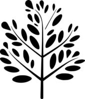eukalyptus - svart och vit isolerat ikon - illustration vektor