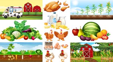 Farm scener med grönsaker och kycklingar vektor