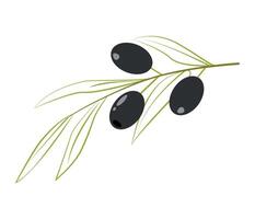 Oliven auf ein Zweig, Oliven Clip Art, schwarz Oliven, Illustration, Oliven Clip Art vektor