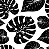 nahtlos Muster mit Hand gezeichnet schwarz tropisch Blätter auf Weiß Hintergrund. vektor