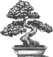 Bonsai Baum Bilder mit alt Gravur Stil Körper schwarz Farbe nur vektor