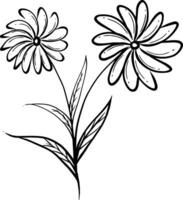 Single Linie Kunst Blumen, einfach Illustration. Datei vektor