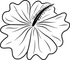 Hand Zeichnung Linie von Hibiskus Blume Design Grafik Illustration vektor