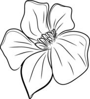hand teckning linje konst blommor blomma design grafisk illustration vektor