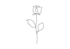 Rose Blume kontinuierlich einer Linie Zeichnung Prämie Illustration vektor