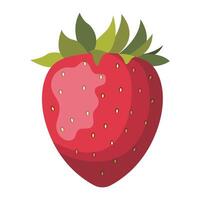 av jordgubb frukt vektor