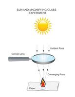 förstorande glas och Sol experimentera. konvex lins skapar en fokal- punkt och den där genererar värme. vektor