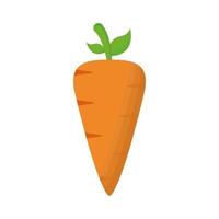 isoliertes Karottengemüse-Vektordesign vektor