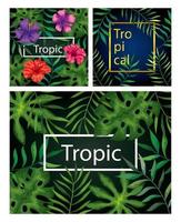 Satz von Rahmen Tropicals von Blumen mit Zweigen und Blättern vektor