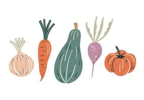 grönsaker uppsättning, hand dragen illustration. vektor