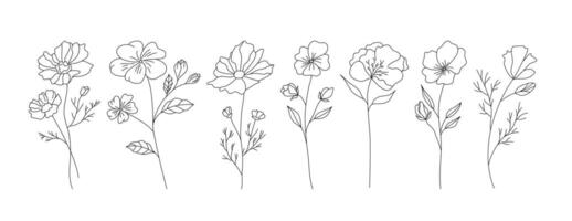 hand dragen vild fält flora, blommor, löv, örter, växter, grenar. minimal blommig botanisk linje konst. illustration för logotyp eller tatuering, inbjudningar, spara de datum kort vektor