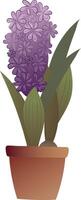 hyacint. lila blomma i en pott. hög kvalitet illustration. vektor