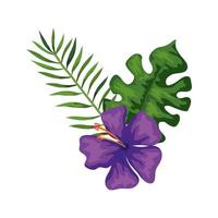 natürliche Blume von lila Farbe mit Zweig und Blättern vektor