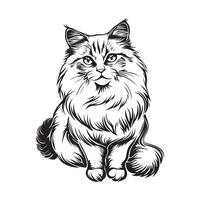 ragdoll katt illustration, konst, ikoner, och grafik, svart och vit ragdoll katt vektor