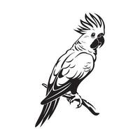 kakadua illustration, design, bilder, kakadua på en vit bakgrund vektor