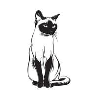 Siamese Katze Bild, Kunst, Symbole, und Grafik auf Weiß Hintergrund vektor