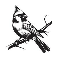 kardinal fågel på gren, fågel på en gren isolerat på vit bakgrund vektor