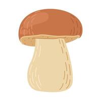 Steinpilz Wald Pilz. Hand gezeichnet Steinpilz Edulis Pilz. Steinpilz frisch essbar Pilze Karikatur Stil Dekor Element. cep. König Bolete auf Weiß Hintergrund. Penny Brötchen Illustration vektor