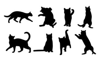 Illustration Katze Schatten 11 vektor