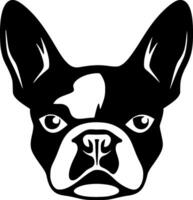 boston terrier - hög kvalitet logotyp - illustration idealisk för t-shirt grafisk vektor