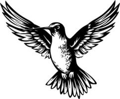 kolibri, svart och vit illustration vektor