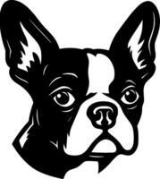 boston terrier - svart och vit isolerat ikon - illustration vektor