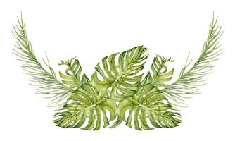 Monstera und Palme Baum Blätter tropisch Komposition. Aquarell Illustration isoliert auf Weiß Hintergrund. Rand Design mit Regenwald Pflanzen. Sommer- Strand Karten und druckt vektor
