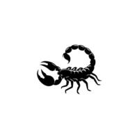 scorpion eller scorpio djur- attacker isolerat på en vit bakgrund. skorpion zodiaken symbol tatuering. svart och vit hand dragen vektor