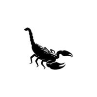 scorpion eller scorpio djur- attacker isolerat på en vit bakgrund. skorpion zodiaken symbol tatuering. svart och vit hand dragen vektor