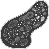 silhuett amöba djur- svart Färg endast vektor