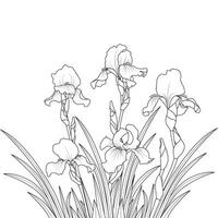 översikt blomning iris blommor vektor