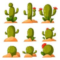 uppsättning av tecknad serie kaktus. öken- växter. uppsättning av blomning kaktusar i de sand. vektor