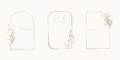 botanisch Linie Kunst Illustration einstellen von Olive Blätter, Ast Frames zum Hochzeit Einladung und Karten, Logo Design, Netz, Sozial Medien und Plakate Vorlage. elegant minimal Stil Blumen- isoliert. vektor