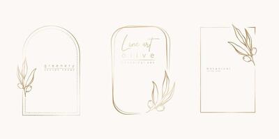 botanisch Linie Kunst Illustration einstellen von Olive Blätter, Ast Frames zum Hochzeit Einladung und Karten, Logo Design, Netz, Sozial Medien und Plakate Vorlage. elegant minimal Stil Blumen- isoliert. vektor