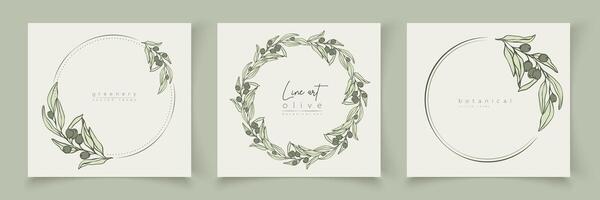 botanisk linje konst illustration uppsättning av oliv löv, gren ramar för bröllop inbjudan och kort, logotyp design, webb, social media och posters mall. elegant minimal stil blommig isolerat. vektor