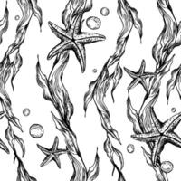 under vattnet värld ClipArt med hav djur, bubblor, sjöstjärna och alger. grafisk illustration hand dragen i svart bläck. sömlös mönster eps . vektor